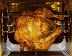 chicken