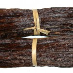Vanilla Bean