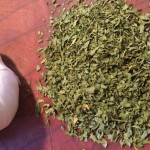 Summer Savory