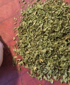 Summer Savory