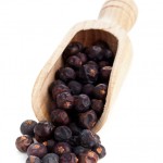 Berries