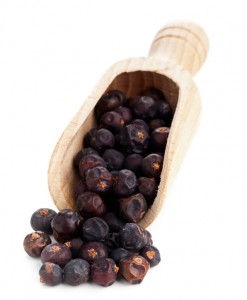 Berries